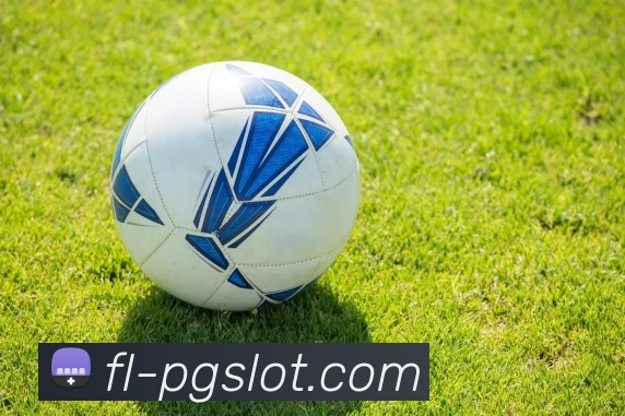 PG娱乐城官网APP 封面图